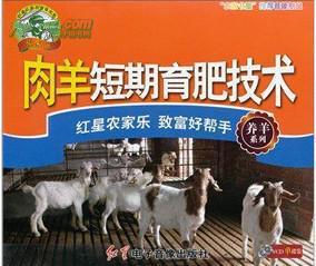 育肥羊爆料视频最新网站,最新爆料视频网站深度解析